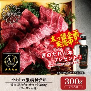 [神戶牛肉] 烤肉什錦套餐 (裡肌肉 x 紅肉) 300g (2-3人份)